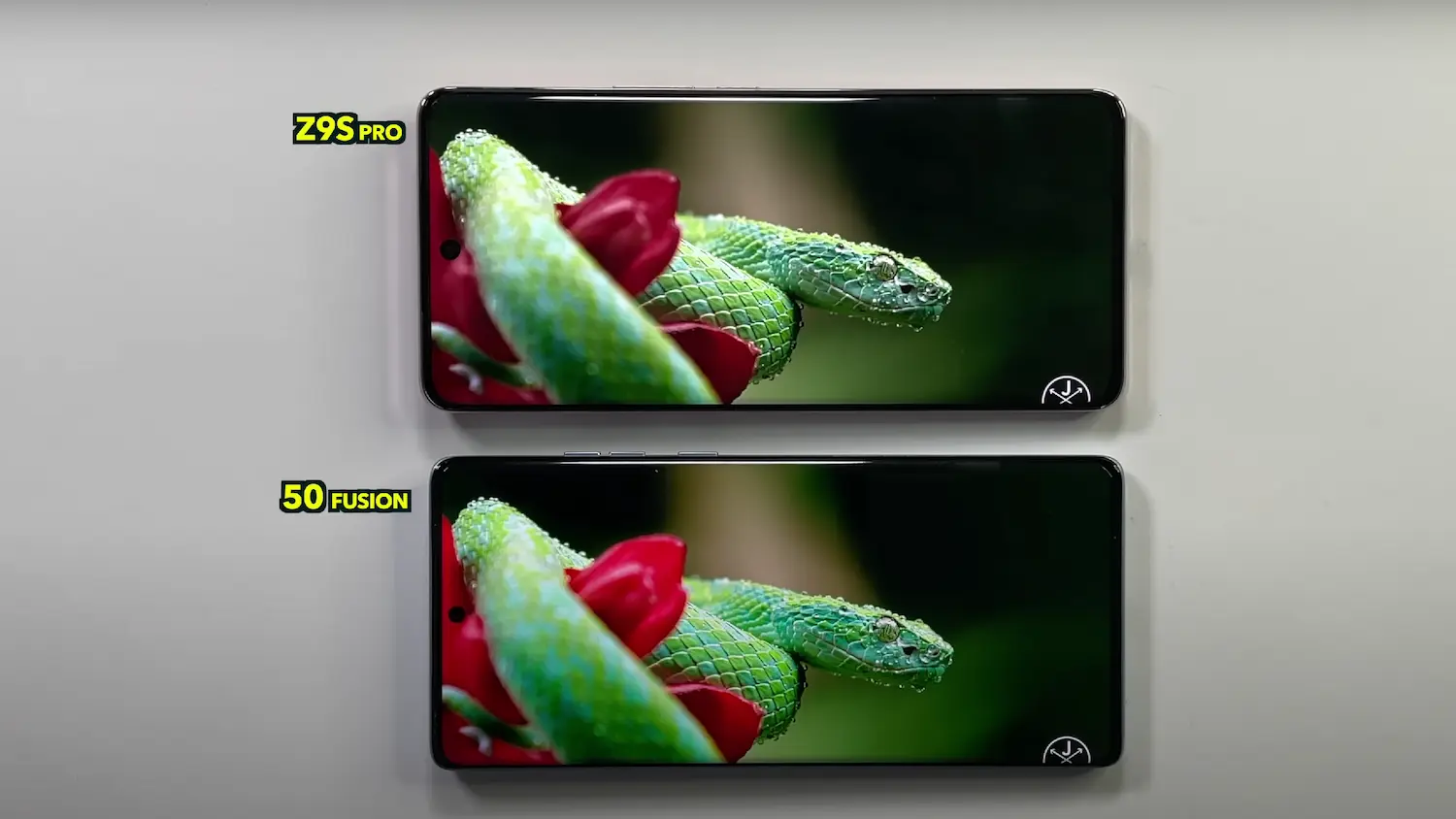 IQOO Z9s Pro 5G vs Motorola Edge 50 Fusion display compare image